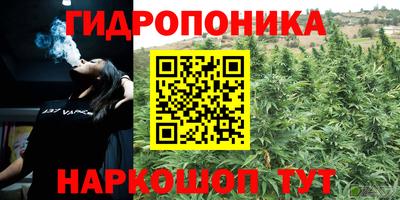 a pvp Ирбит