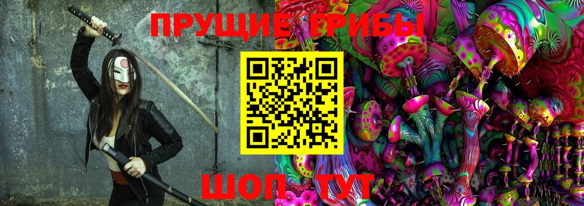 Галлюциногенные грибы Psilocybe Кировск